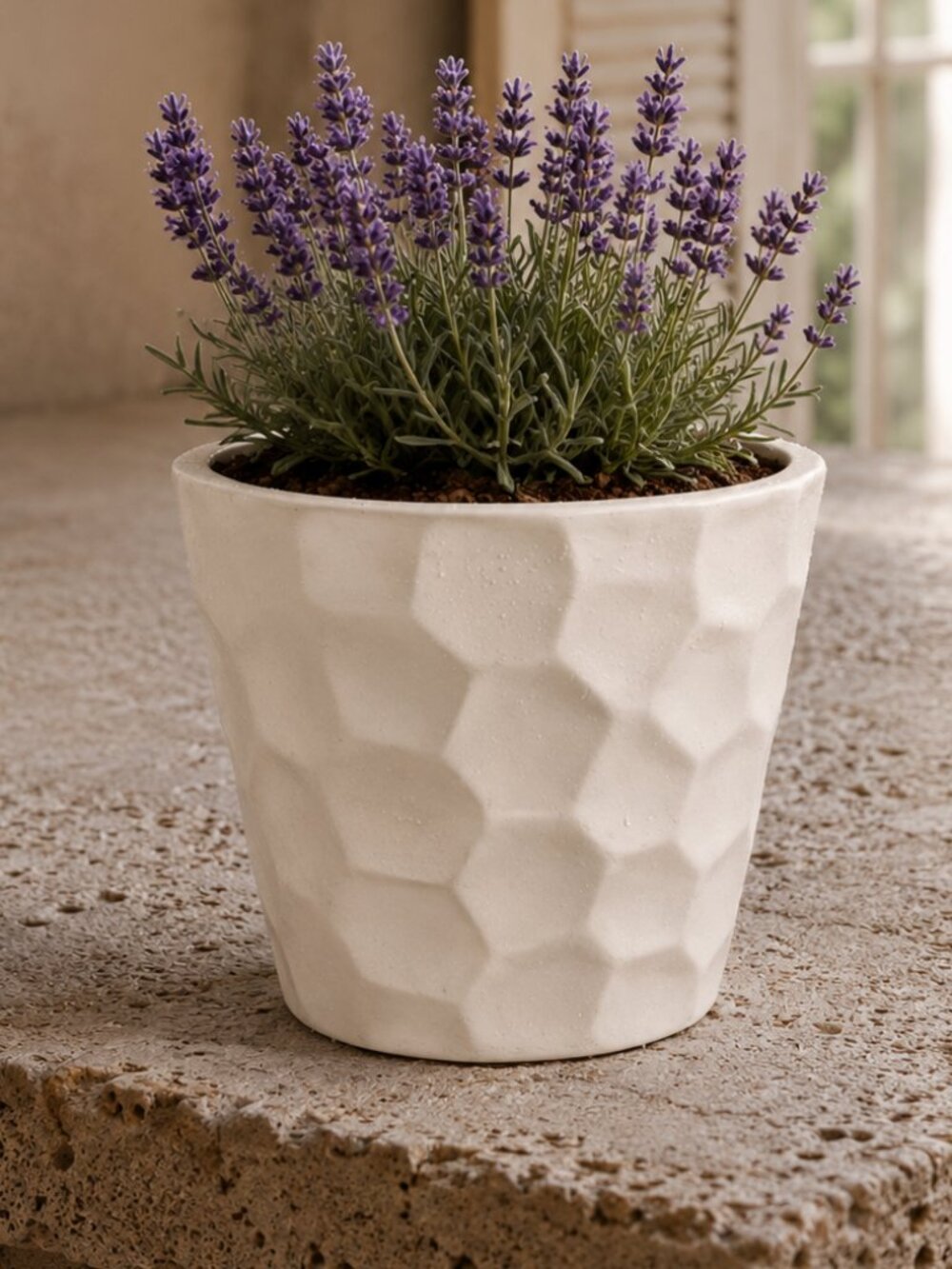 NWT Costa Farms Painted Terracotta Geometrical Design Flower Pot Planter Vase
